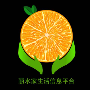 丽水市立众信息科技服务有限公司