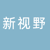 浙江新视野安防工程有限公司